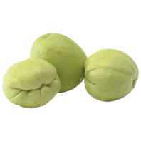 Labosiam (Chow Chow) groß 