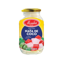 Nata de Coco Kokosgel 340g