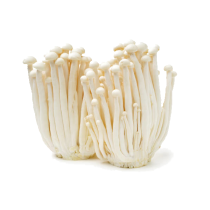 Enoki (goldene Pilze) 100g