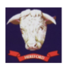 Hereford